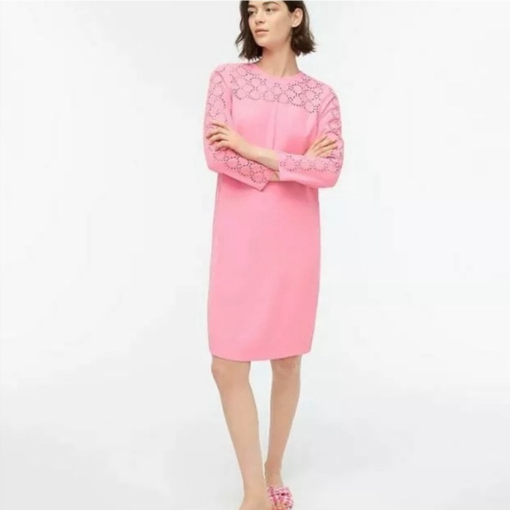J . Crew Pink Long Sleeve Dress with Lace Detail - Picture 2 of 15